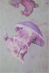 Stampa Su Tela Con Applicazioni Medusa -A- Cm 80X3,8X120 Casa e cucina/Decorazioni per interni/Arte/Poster e stampe Led Mall Home - Napoli, Commerciovirtuoso.it