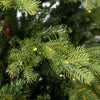 Albero di Natale con microled integrati St Anton 70 % in PE Effetto Real Touch