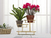 S/Tasche-3-Levels--B--Cm-36X22,5X27