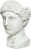 Statua decorativa in poliresina Testa Artemide Porta vaso decorativo h 39 cm Giardino e giardinaggio/Attrezzi da giardino e attrezzature per l'irrigazione/Vasi e accessori per piante/Vasi tradizionali Decor Space - Altamura, Commerciovirtuoso.it