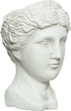 Statua decorativa in poliresina Testa Artemide Porta vaso decorativo h 39 cm Giardino e giardinaggio/Attrezzi da giardino e attrezzature per l'irrigazione/Vasi e accessori per piante/Vasi tradizionali Decor Space - Altamura, Commerciovirtuoso.it