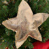 Stella in ecopelle Champagne h 10 cm decorazione natalizia tinta unita Casa e cucina/Decorazioni per interni/Addobbi e decorazioni per ricorrenze/Decorazioni natalizie/Addobbi e decorazioni/Palle e palline MagiediNatale.it - Altamura, Commerciovirtuoso.it
