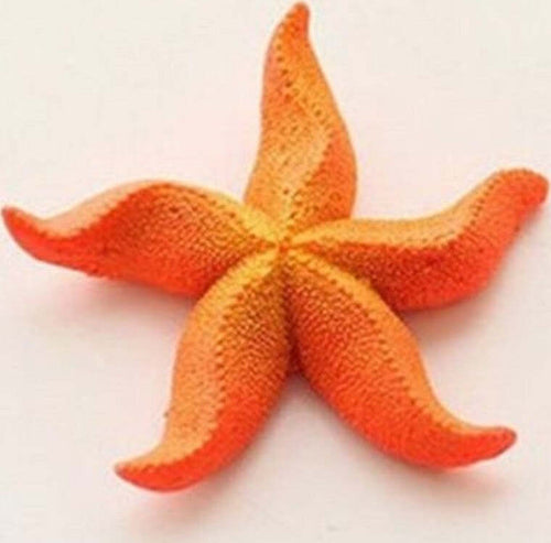 Stella Marina Artificiale In Resina Per Decorazioni Acquario Corallo Finto 7x7cm Prodotti per animali domestici/Pesci e animali d'acqua/Arredo per acquario/Oggetti Trade Shop italia - Napoli, Commerciovirtuoso.it