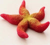 Stella-Marina-Rossa-Artificiale-In-Resina-Per-Decorazioni-Acquario-Corallo-Finto