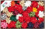 Stelle in Rafia sintetica - 14 mm - in colori natalizi assortiti - Brizzolari - conf. 100 pezzi Casa e cucina/Decorazioni per interni/Addobbi e decorazioni per ricorrenze/Decorazioni natalizie/Fiocchi e nastri Eurocartuccia - Pavullo, Commerciovirtuoso.it