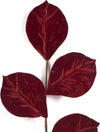 Stelo con foglie in velluto Bordeaux h 64 cm ramo per Alberi e Ghirlande natalizie Casa e cucina/Decorazioni per interni/Addobbi e decorazioni per ricorrenze/Decorazioni natalizie/Ghirlande e corone MagiediNatale.it - Altamura, Commerciovirtuoso.it