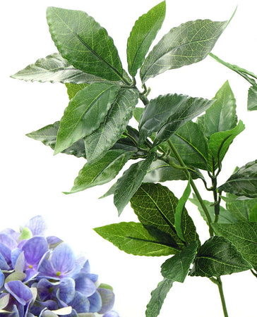 Stelo fiore Foglia Alloro Green 231705.70 Edg Casa e cucina/Decorazioni per interni/Piante e fiori artificiali/Piante artificiali Scontolo.net - Potenza, Commerciovirtuoso.it