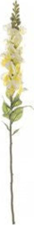 Stelo-Yes-Everyday-0172155-Bocca-di-Leone-Giallo-68-cm