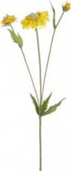 Stelo-Yes-Everyday-0172292-Scabiosa-X3F-Giallo-51-cm