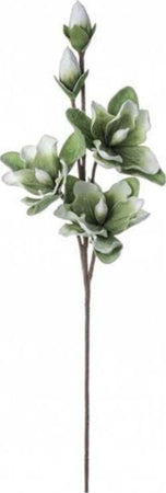 Stelo-Yes-Everyday-0172599-Magnolia-Bocciolo-X3F+2B-Verde-H95