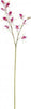 Stelo-Yes-Everyday-0172625-Orchidea-Dendrobium-X11F+2B-Fucsia-H92