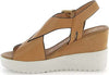 Stonefly-zeppa-Ely-18-brown-220748
