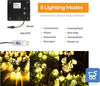 Strip LED Luci Solari e USB da Giardino 8 m 50 LED Impermeabili 8 modalità per Feste Natale Compleanni Luce Bianco Caldo