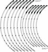 Strisce-adesive-17-21-x-cerchi-moto-compatibili-Triumph-Tiger-800-XCx-2018-2020