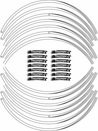 Strisce-adesive-compatibili-per-moto-Triumph-adesivi-cerchi-17-stickers-tuning