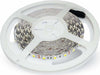 Striscia 150 led RGB con telecomando per interno 5 mt sezionabile Casa e cucina/Decorazioni per interni/Addobbi e decorazioni per ricorrenze/Decorazioni natalizie/Luci natalizie/Catene luminose per interni MagiediNatale.it - Altamura, Commerciovirtuoso.it