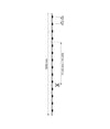 Striscia 980led 62w Cct Da 3000k A 6500k 24v Impermeabile Dimmerabile Bobina 5mt
