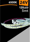 Striscia Led 2835 Strip 5 Mt 24v 120 Led Smd Luce 3000k 4000k 6500k 2835-24v-5mm Casa, arredamento e bricolage > Illuminazione da interno > Strisce LED Trade Shop italia - Napoli, Commerciovirtuoso.it