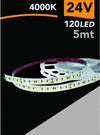 Striscia-Led-2835-Strip-5-Mt-24v-120-Led-Smd-Luce-3000k-4000k-6500k-2835-24v-5mm