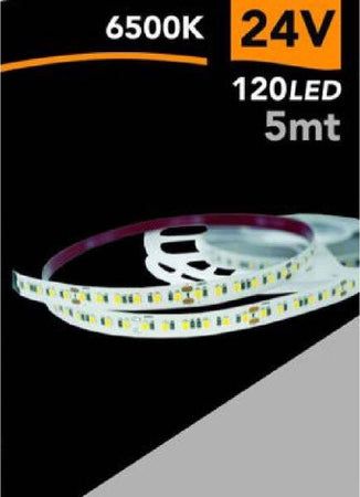 Striscia Led 2835 Strip 5 Mt 24v 120 Led Smd Luce 3000k 4000k 6500k 2835-24v-5mm Illuminazione/Strisce LED Trade Shop italia - Napoli, Commerciovirtuoso.it