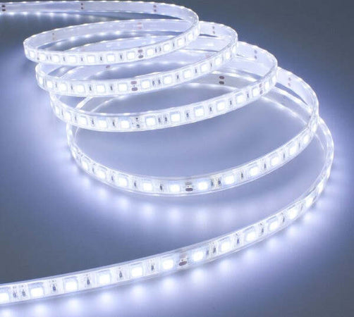 Striscia Led 5 Mt Smd5050 Bianco Caldo Freddo Naturale Neutra Impermeabile 12v Illuminazione/Strisce LED Trade Shop italia - Napoli, Commerciovirtuoso.it