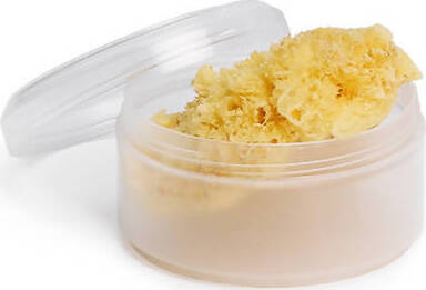 SUAVINEX Spugna Naturale Spugna Naturale 100% Per Bambini e Adulti Spugna Sanitaria Gioia del Bimbo - Villa San Giovanni, Commerciovirtuoso.it