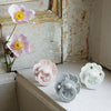 Succhietto-Elodie-Details-Binky-Bloom-Silicone-Rosa-Cipria