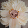 Succhietto-Frigg-B-Latex-2-in-1-Daisy-Baby-Pink-e-French-Grey-Varie-Misure