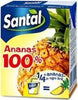 24x Santal Premium Ananas 100% Brik 200ml Confezione da 24 Brik Ananas 100% succo di frutta Non solo alimenti - Albano Laziale, Commerciovirtuoso.it