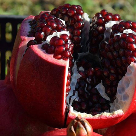 Succo di Melograno Siciliano Wonderful Spremuto a Freddo 100% Puro 210ml Il Melograno Peloritano