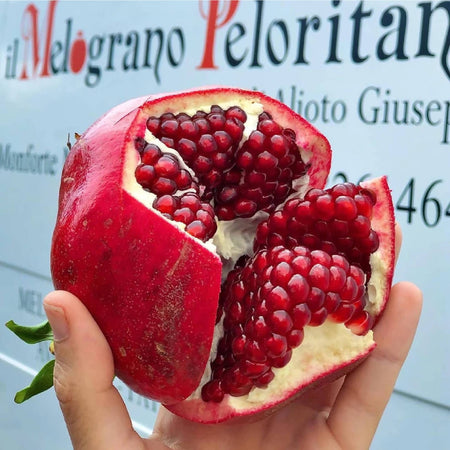 Succo di Melograno Siciliano Wonderful Spremuto a Freddo 100% Puro 210ml Il Melograno Peloritano