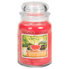 Candele profumate Village Candle profumatore per ambienti, Giara in vetro 730 gr, 26 once