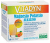 super offerta 2 confezioni Vitadyn Magnesio+potassio Alkalino Con Vitamina C Integratore Alimentare A Base Di Sali Minerali Alcalini 30 bustine a soli 20,00€