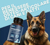 Suprapet-articolazioni-cani-e-gatti---supporto-per-ossa-e-cartilagini-90-compresse---con-boswelia-glucosammina,-condroitina,-msm,-artiglio,-vitamina-c-(90-unità-(confezione-da-1))