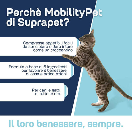 Suprapet-articolazioni-cani-e-gatti---supporto-per-ossa-e-cartilagini-90-compresse---con-boswelia-glucosammina,-condroitina,-msm,-artiglio,-vitamina-c-(90-unità-(confezione-da-1))