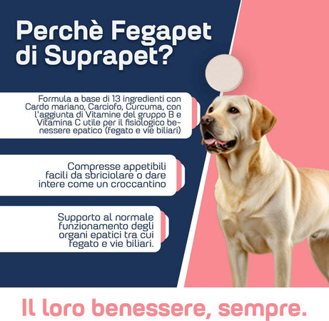 Suprapet-Fegapet-Cani-E-Gatti-Supporto-Per-Il-Fegato-30-Compresse---Mangime-Complementare-Naturale-Per-Le-Funzioni-Epato-biliari-Con-Vitamine,-Cardo-Mariano,-Carciofo,-Curcuma,-Lespedeza