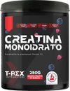 T-rex-integratori-creatina-monoidrata---integratore-alimentare-per-massa-muscolare-e-boost-energetico-pre-workout-(frutti-di-bosco,-250-g)