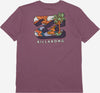 T-shirt-Bambino-Billabong-BBTV