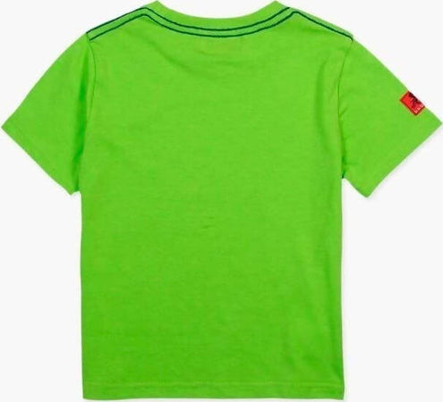 T-Shirt Bimbo Estiva Verde Stampata Tavole da Surf Maglia Mezze Maniche 100% Cotone Girocollo Maglietta Estiva Maniche Corte canotta bambino/ragazzo Piccole Canaglie - Tropea, Commerciovirtuoso.it