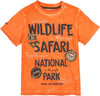 T-Shirt Estiva Bimbo Maniche Corte Girocollo Maglietta Stampata Arancione National Park 100% Cotone Maglia Mezze Maniche Arancio Bambino Estate Colorata Boboli t-shirt bambino/ragazzo Piccole Canaglie - Tropea, Commerciovirtuoso.it