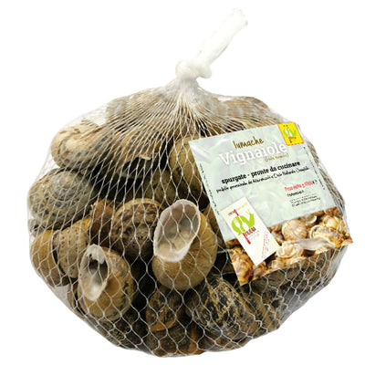 Lumache Vignaiole Italiane da Gastronomia HELIX ASPERSA Spurgate Pronte da Cucinare 100% Italiane
