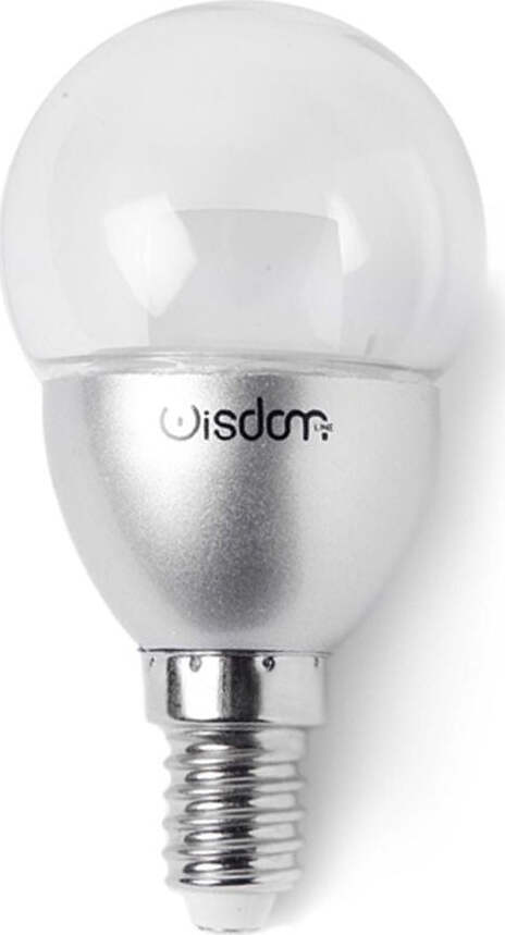 LAMPADINA LED MINIGLOBO E14 DA 4W LUCE FREDDO NATURALE CALDO Illuminazione/Lampadine/Lampadine a LED Trade Shop italia - Napoli, Commerciovirtuoso.it