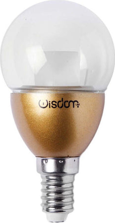 LAMPADINA LED MINIGLOBO E14 DA 4W LUCE FREDDO NATURALE CALDO Illuminazione/Lampadine/Lampadine a LED Trade Shop italia - Napoli, Commerciovirtuoso.it