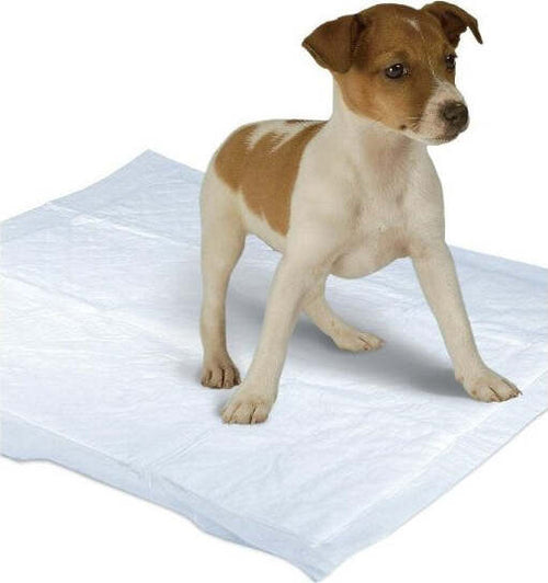 10 Tappetini Assorbenti Per Cani Gatti 90 X 60 Cm Cuccioli Pannolini Traverse Prodotti per animali domestici/Cani/Lettiere e accessori/Pannolini e tappetini assorbenti/Tappetini Trade Shop italia - Napoli, Commerciovirtuoso.it
