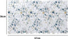 Tappeto-Tappetino-Pvc-Fiori-Foglie-Antiscivolo-Vasca-Bagno-Doccia-67x36cm-87059