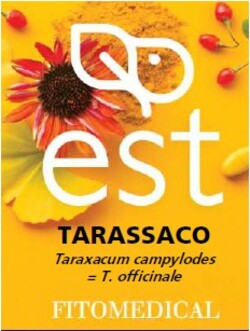 TARASSACO-Estratto-secco-integratore-alimentare-60-tavolette-Fitomedical