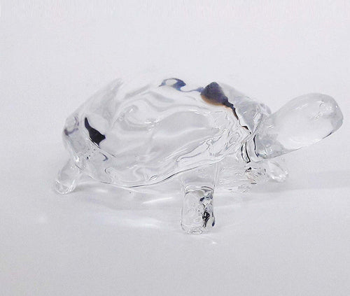 Tartaruga Marina Turtle Vetro 8x6x4cm Fermacarte Bomboniera Bomboniere Cristallo Casa e cucina/Hobby creativi/Materiali per hobby creativi/Forniture per feste/Bomboniere Trade Shop italia - Napoli, Commerciovirtuoso.it