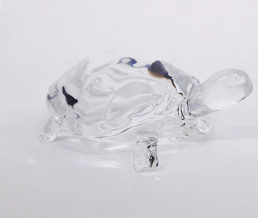 Tartaruga Marina Turtle Vetro 8x6x4cm Fermacarte Bomboniera Bomboniere Cristallo Casa e cucina/Hobby creativi/Materiali per hobby creativi/Forniture per feste/Bomboniere Trade Shop italia - Napoli, Commerciovirtuoso.it