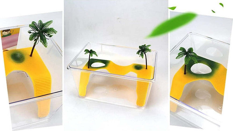 Tartarughiera Acquario Con Isola Scala Arrampicata Tartaruga Terrazza Piantine Prodotti per animali > Prodotti per Acquari > Acquari e Terrari Trade Shop italia - Napoli, Commerciovirtuoso.it