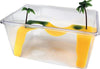 Tartarughiera-Acquario-Con-Isola-Scala-Arrampicata-Tartaruga-Terrazza-Piantine